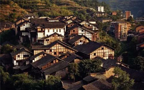 市民煮食草乌出现不适 特警及时送医